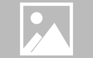延边论文网站建设（网站建设的论文）
